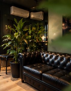 Sala de espera com sofá de couro e plantas